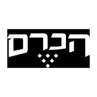 הלקוחות שלנו